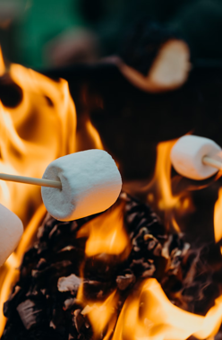 Marshmallow über Lagerfeuer