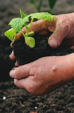 6 Tipps für nachhaltiges Campen